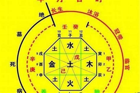 捉用神|八字捉用神是什么意思 批算八字中的一个环节——天玄网